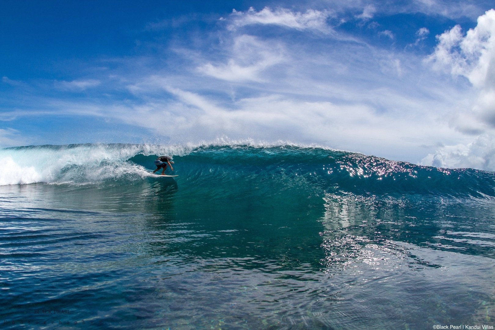 New Surfer Tax In The Mentawais Luex