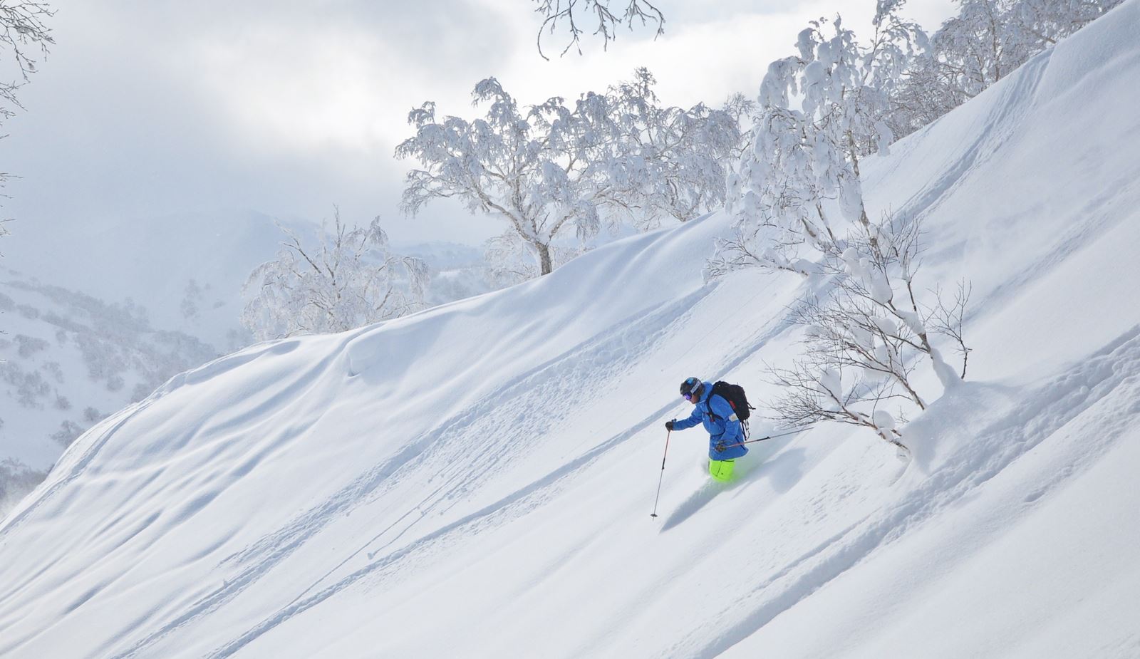 Skiing in the deepest powder of Japan