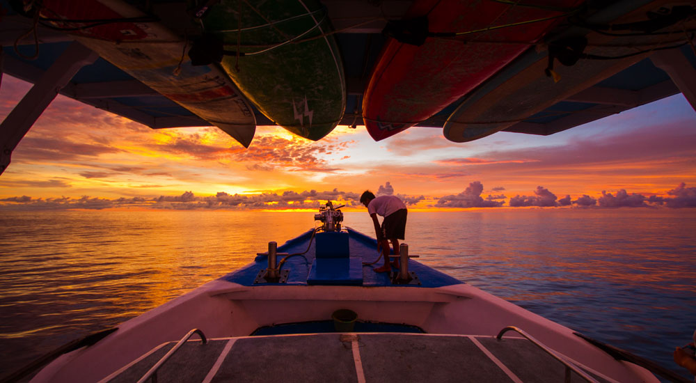surfboards on board