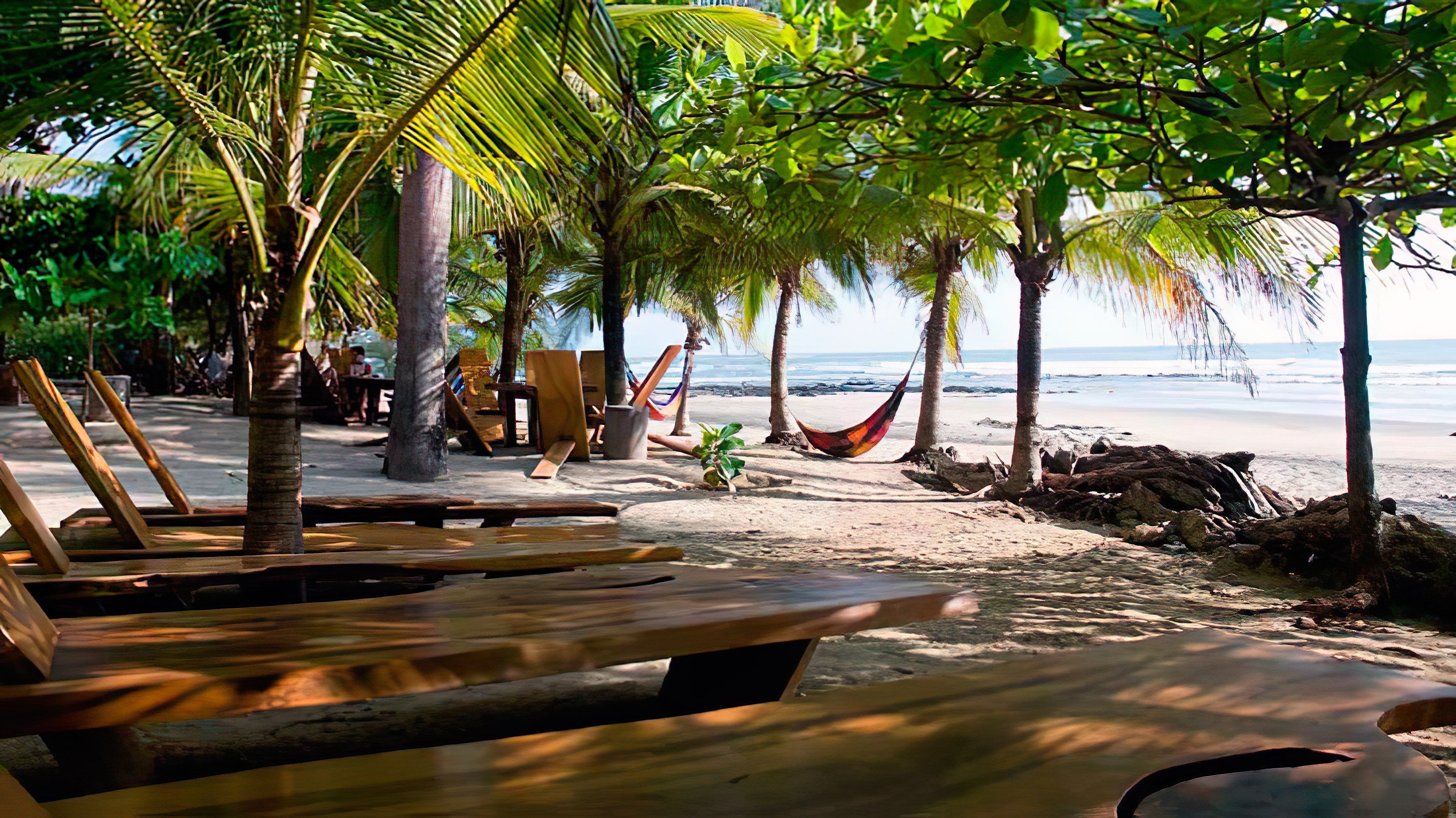 best family surf camp costa rica best family surf camp costa rica
