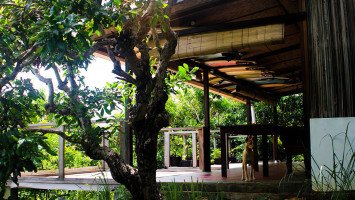 Boa Hills Eco Surf House