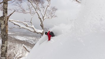 Paromcamps - Hokkaido Road Trip