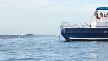 Wildcat Surf Charters