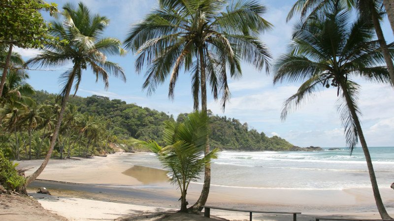 EasyDrop Surf Camp Itacare