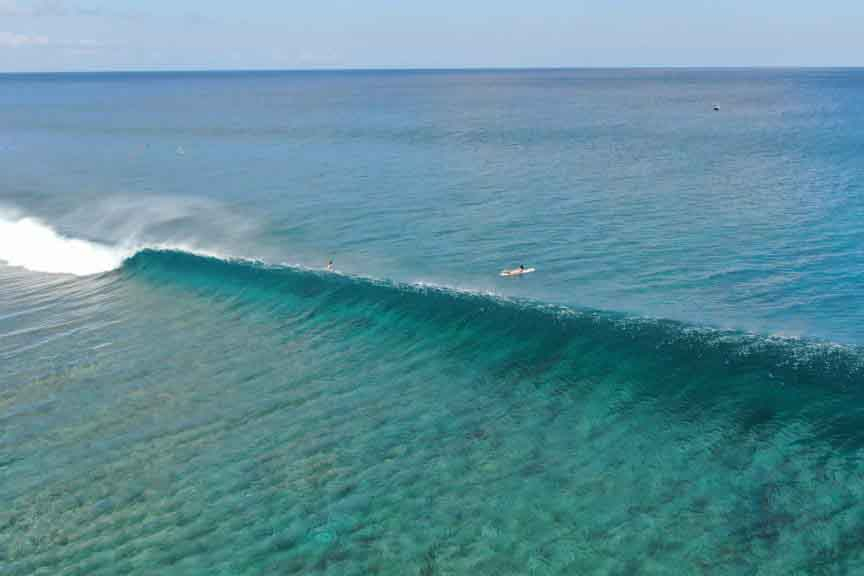 SURF