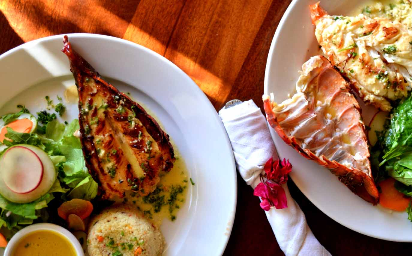 Organic Cuisine Malibu Popoyo