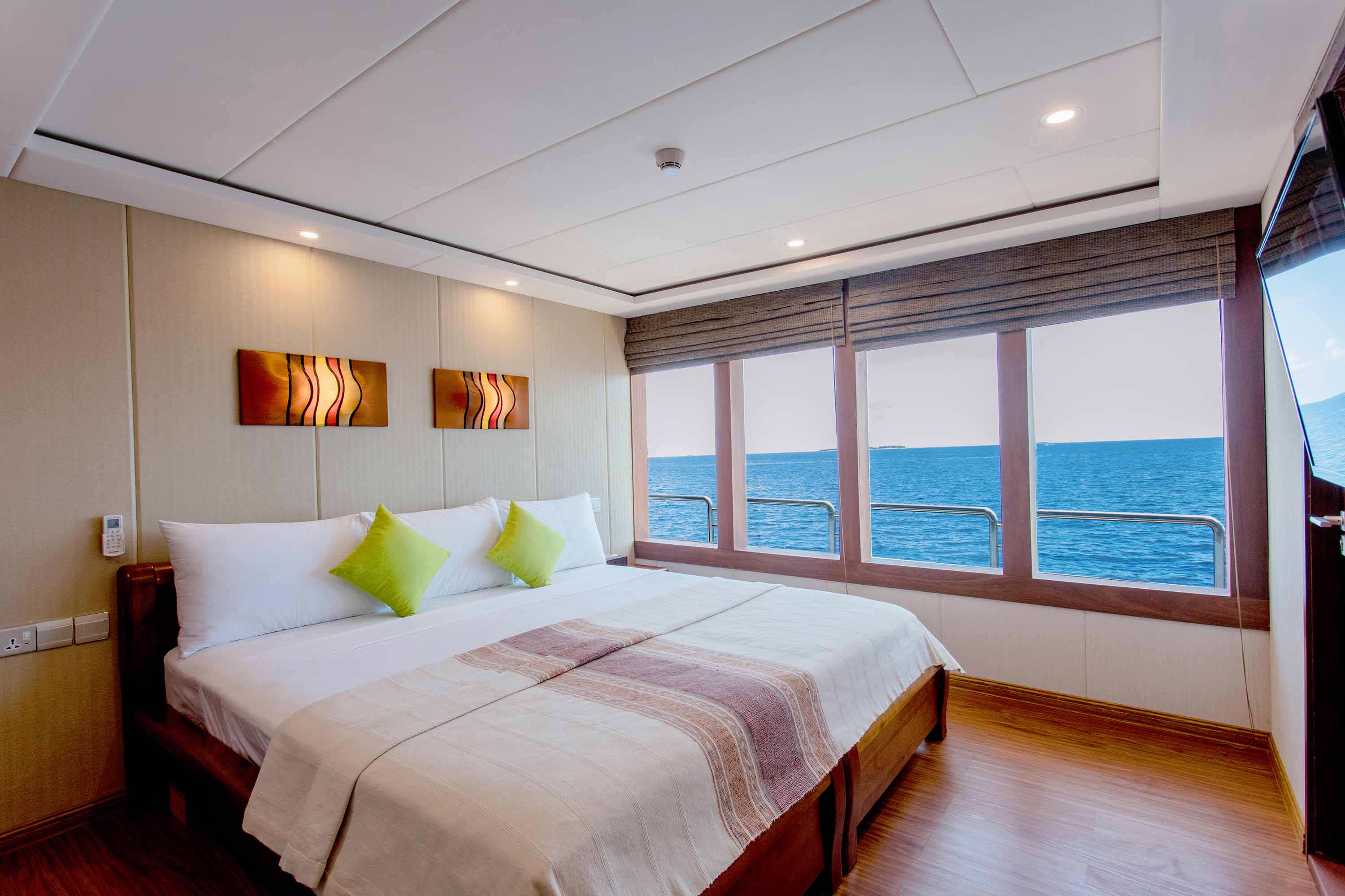 Tiger Shark Suite Tiger Shark Suite
