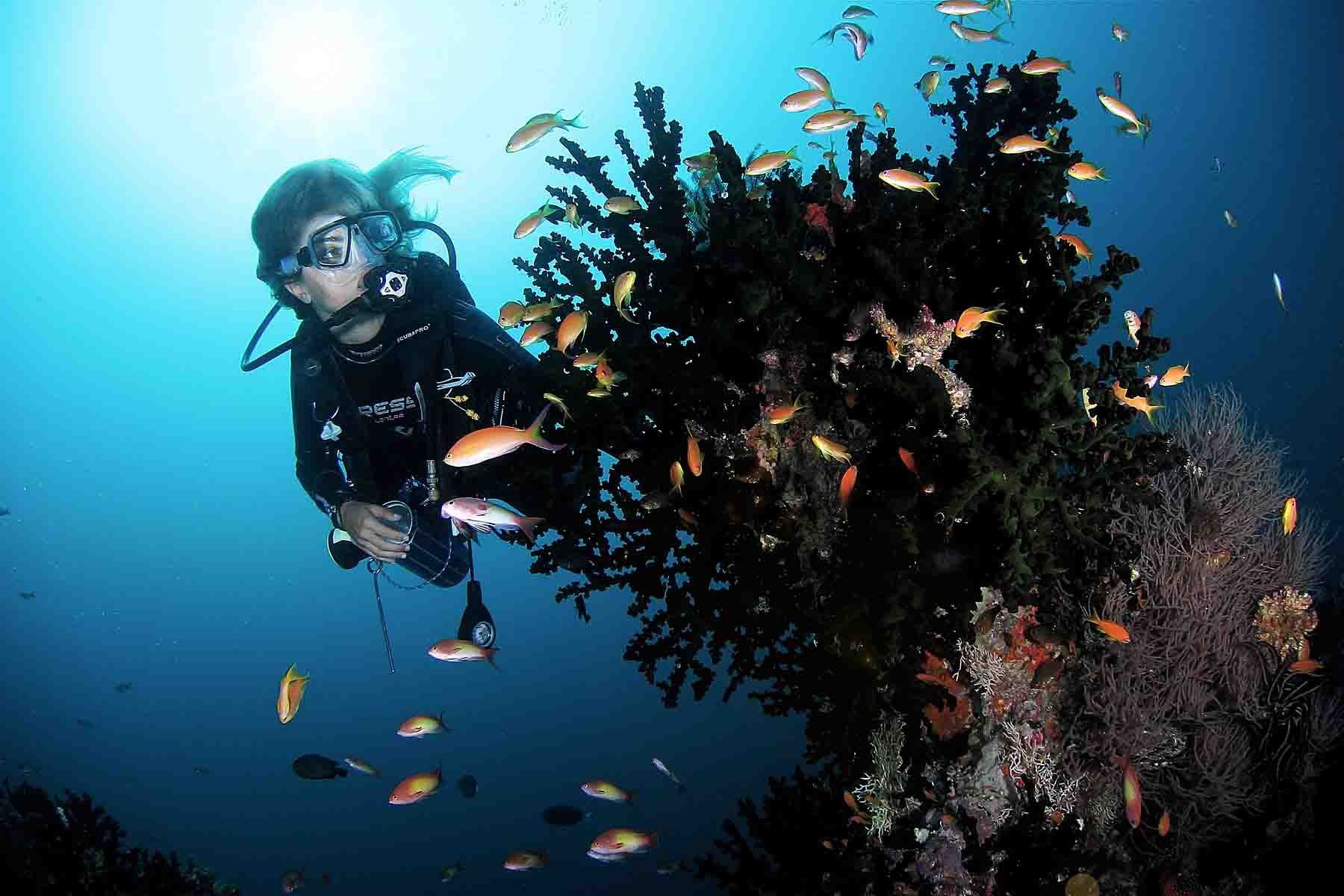 Diving Soneva